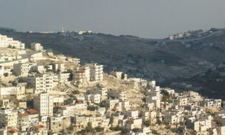 Image illustrant l'article Jérusalem-Est de Clio Carto